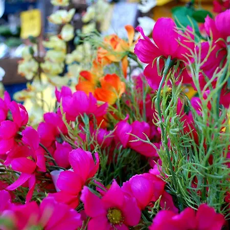 Short Group Dapper Market Serviced