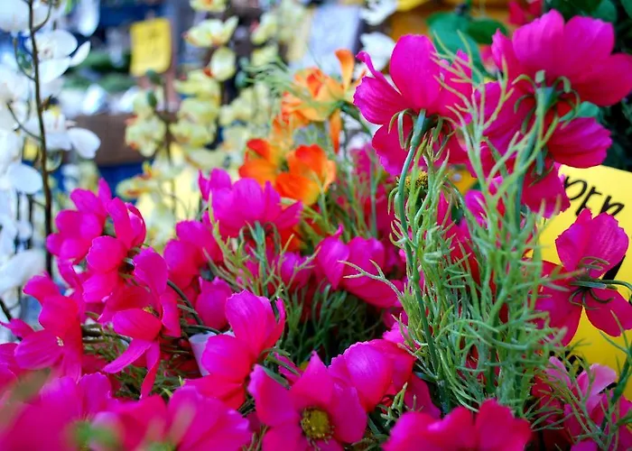 Short Group Dapper Market Serviced